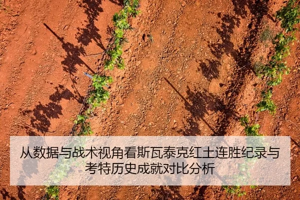 从数据与战术视角看斯瓦泰克红土连胜纪录与考特历史成就对比分析