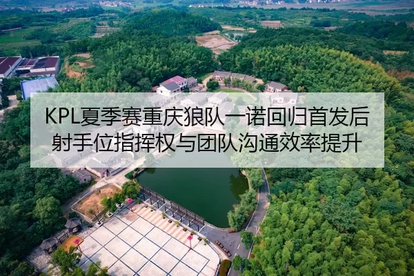 KPL夏季赛重庆狼队一诺回归首发后射手位指挥权与团队沟通效率提升