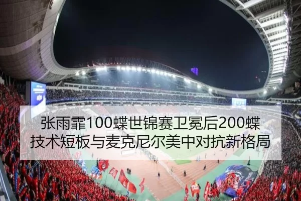 zhang-yu-fei-die-shi-jin-sai-wei-mian-hou-die-ji-shu-duan-ban-yu-mai-ke-ni-er-mei-zhong-dui-kang-xin-ge-ju-3-958.jpg