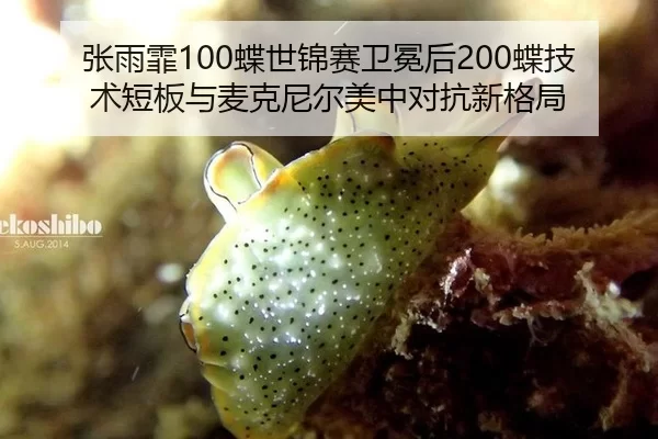 张雨霏100蝶世锦赛卫冕后200蝶技术短板与麦克尼尔美中对抗新格局
